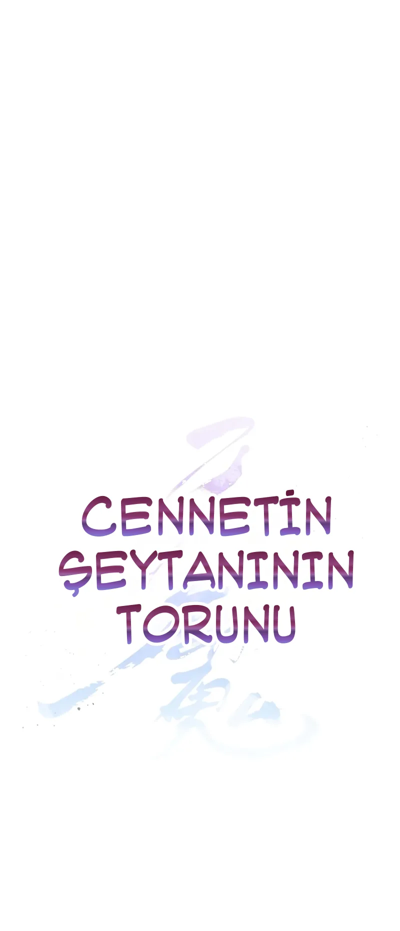 Sayfa 30