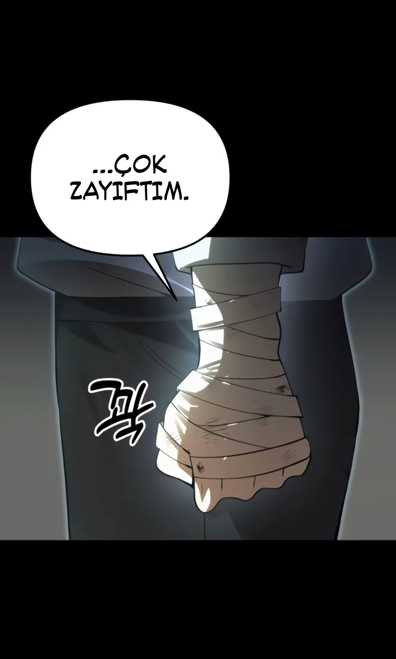 Sayfa 47