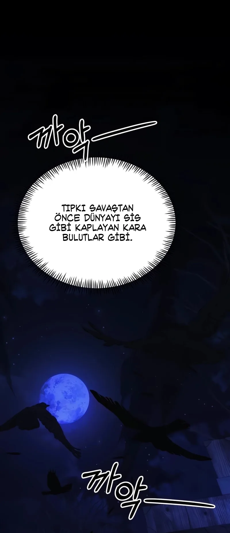 Sayfa 91