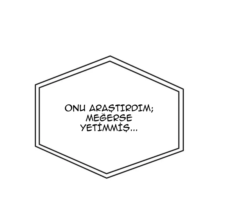 Sayfa 31