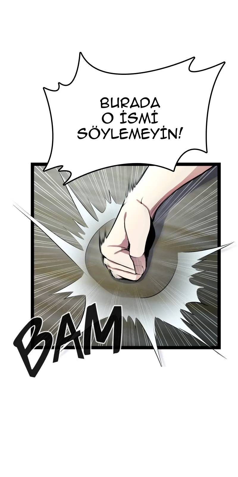 Sayfa 110