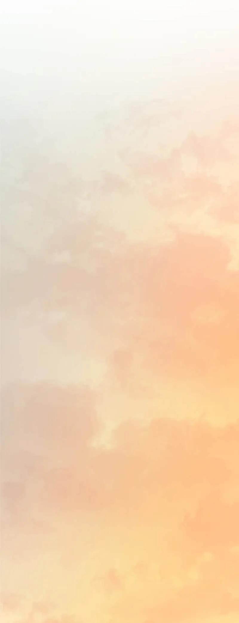 Sayfa 35