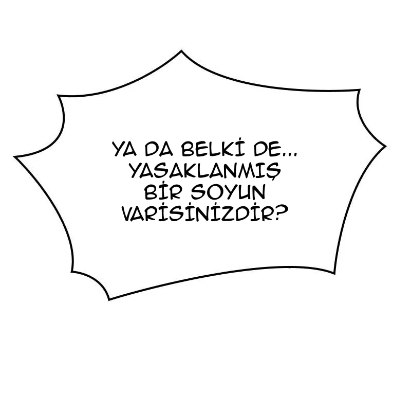 Sayfa 85