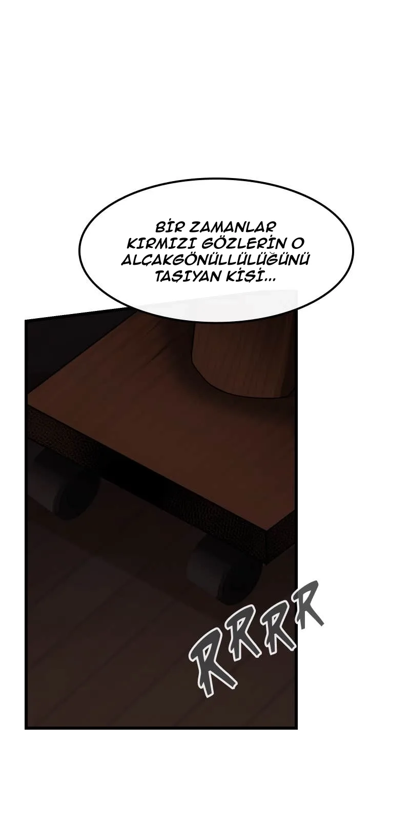 Sayfa 17